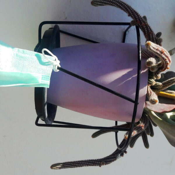 Tengo una sensación de irrealidad, de estar en una novela distopica y esto me da miedo