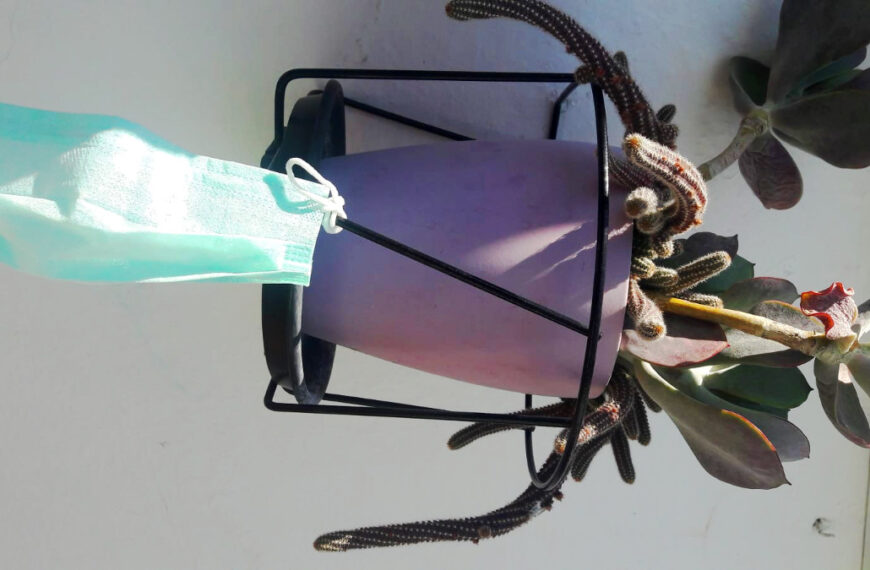 Tengo una sensación de irrealidad, de estar en una novela distopica y esto me da miedo